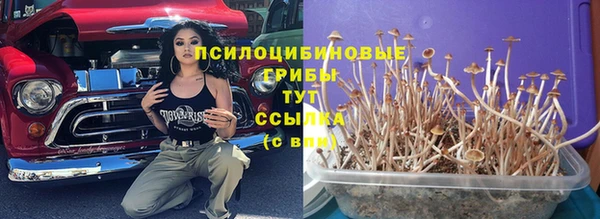 прущие грибы Алексеевка