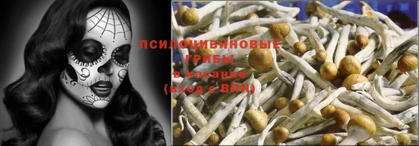 spice Алексин
