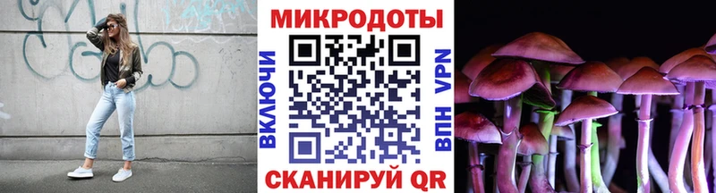 Галлюциногенные грибы Psilocybine cubensis  Ижевск 